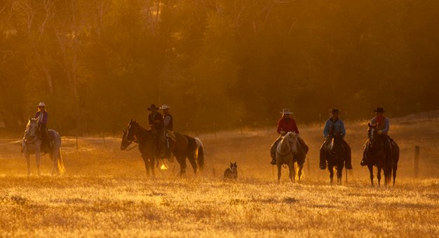 Diverse Ranch Riding