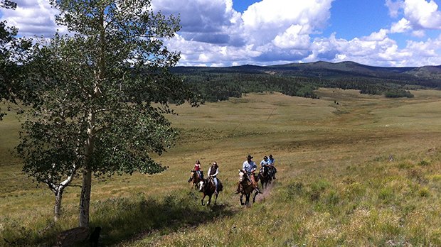 Trail Rides & Backcountry Exploration