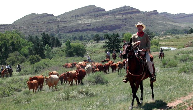 Cattle Drives