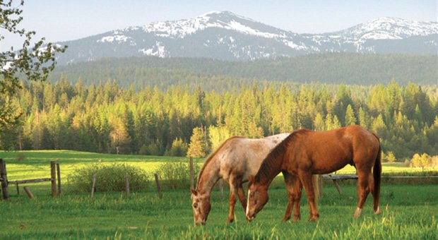 Idaho Mountain Scenery