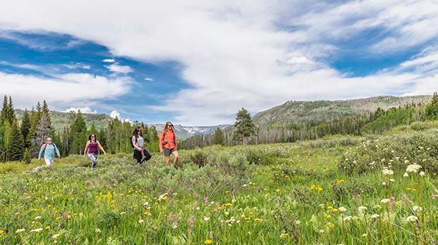 walking through the meadows