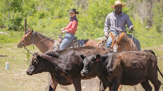 Four Season Ranch Vacations