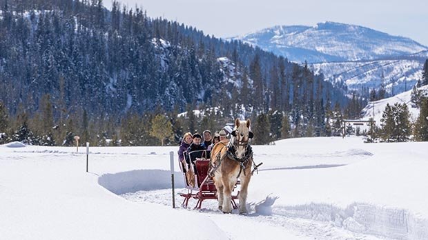 Winter Ranch Adventures