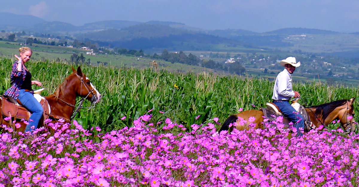 History on Horseback