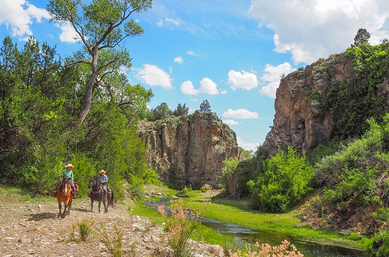 Cabin Accommodations